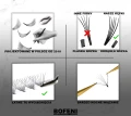 3_BOFENI.webp