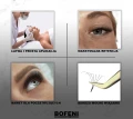 4_BOFENI.webp