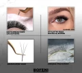 5_BOFENI.webp